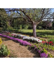 Bouvier Paysage Service image 2