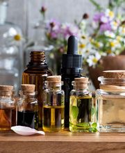 Leguay Johan image 3