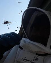 Lefevre Sébastien E.I image 2