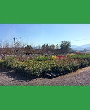 Notre Jardin Propre image 4