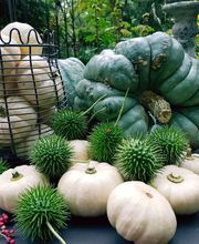 Das kleine Dachstübchen Bild 10