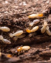 Activ'Expertise Aubagne image 9