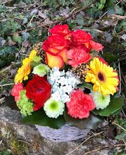 Blumen P. Gätzi Bild 3