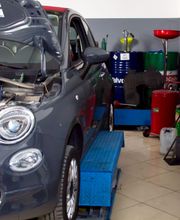 Gallery Cliente