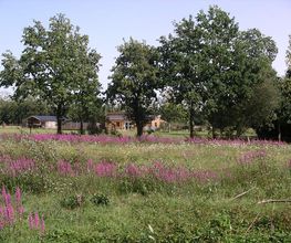 Camping Du Clerigo image 3