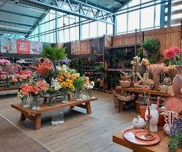 Intratuin Hulst afbeelding 17
