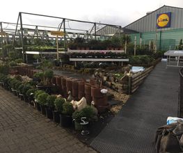 Pirig Gartencenter Bild 8