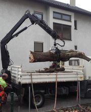 Daniels Baum- & Gartenservice Bild 16