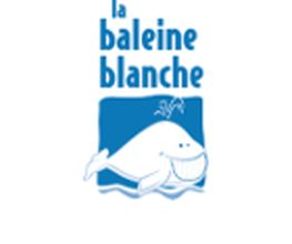 Baleine Blanche image 9