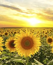 Frontier Community Credit Union image 5