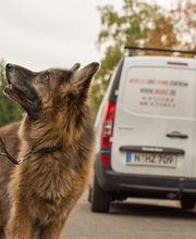 Blickkontakt in verschiedenen Situationen.