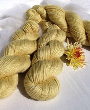 Un mouton dans l'Herbe image 16