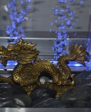 Acupuntura Yolanda Dorado imagen 10