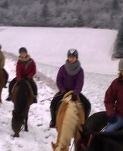 Ecuries Lalye GUILLAUMEE CHANTAL image 4