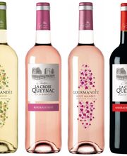 Vignobles Gabard image 11