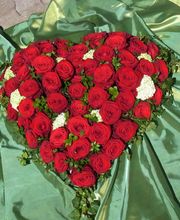 Bärtschi Blumen Pflanzen Floristik Bild 3