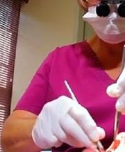 Hogan & Graceffo Dental Services, PLLC image 15