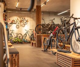 Bike Zone GmbH Gebenstorf Bild 10