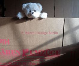 Bären Umzüge Berlin Bild 6
