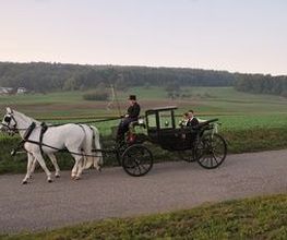 Köchli Heinrich Bild 8