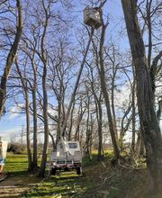 Valdevit Wielfried image 2