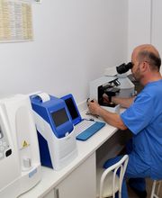 CLINICA VETERINARIA VILLALOBOS imagen 13