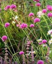 Baumgartner Ursula Liliane Bild 5