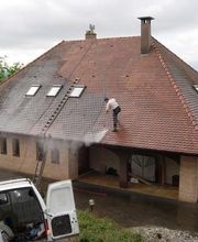 Stevenart David image 10