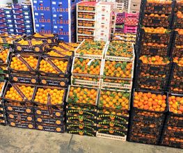 Expo Fruits image 8