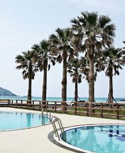 ASAP Administradores imagen 1