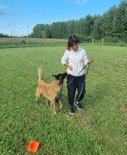 Bien dans ses Pattes image 2