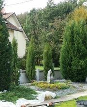 Vert d'Esprit image 2