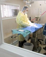 Lincoln Avenue Cat & Dog Hospital image 7