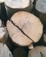 Bois Bûche Energie S.A.R.L. image 15