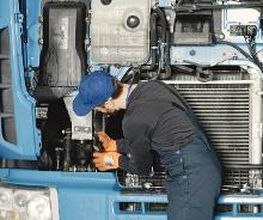 TALLERES ALGITRUCKS,S.L. imagen 8