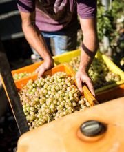 Les Celliers du Chablais SA Bild 3