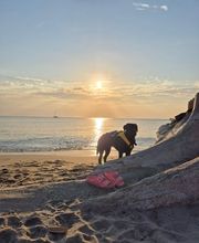 Au Bureau De L'Immo / Marion Prévite - Agence Immobilière Du 8ème image 8
