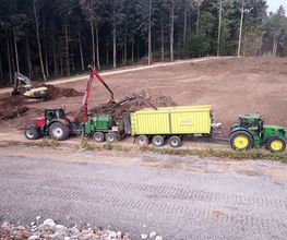 Mammutholzerei GmbH Bild 8