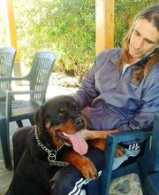 Residencia canina Tarazona imagen 6