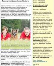 MenschUndHundZentrum Bild 30