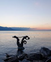 Etude CHIOCCHETTI & SIEVI : Agent d'Affaires Bild 3