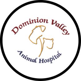 Dominion Valley Animal Hospital