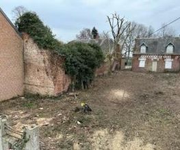 Roye Garden image 15