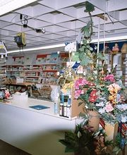 Bastelladen Falterbaum