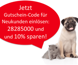 Mein Pfotenglück - Gesundes ANIfit Hundefutter & Katzenfutter Bild 2