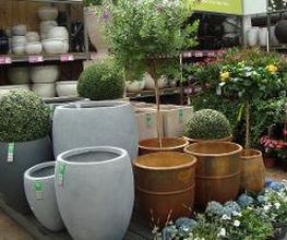 Intratuin Geleen afbeelding 3