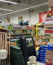 Point Vert - Charmes image 4