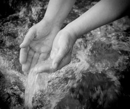 Laurence Fourcade image 1