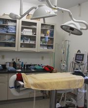 Short Pump Animal Hospital image 2