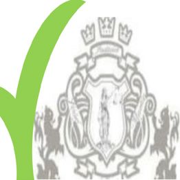 cropped-escudo-check.png